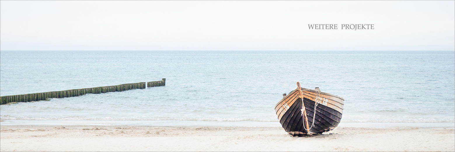 WEITERE  PROJEKTE